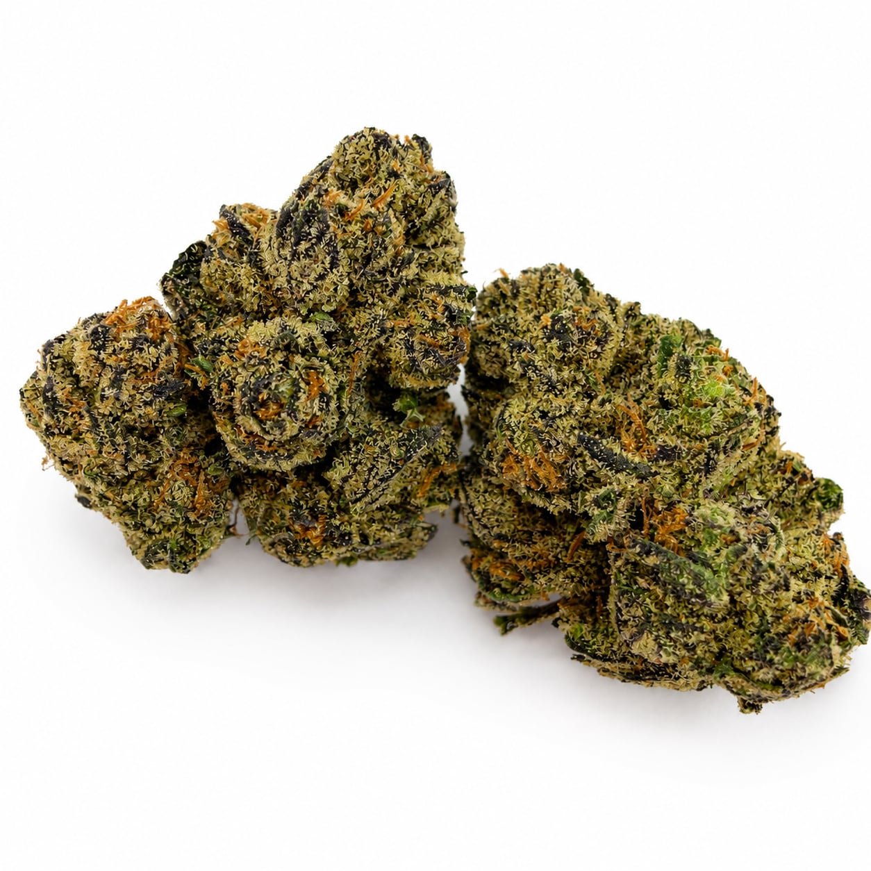 Purple Widow — view 2